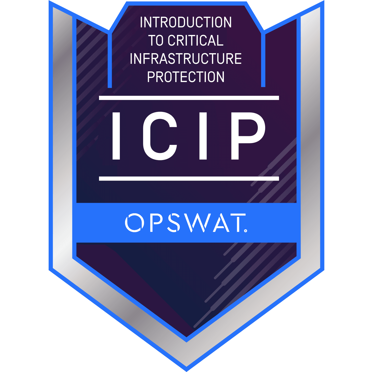 Critical Infrastructure Protection (ICIP)
